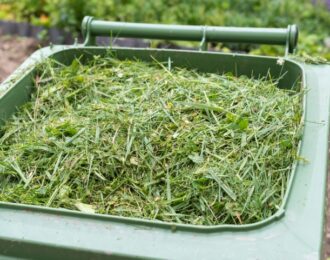 green waste-how to get the best out of your rubbish removal sydney