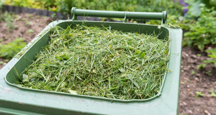 green waste-how to get the best out of your rubbish removal sydney