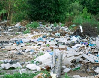 tips to solve the biggest problems with rubbish disposal